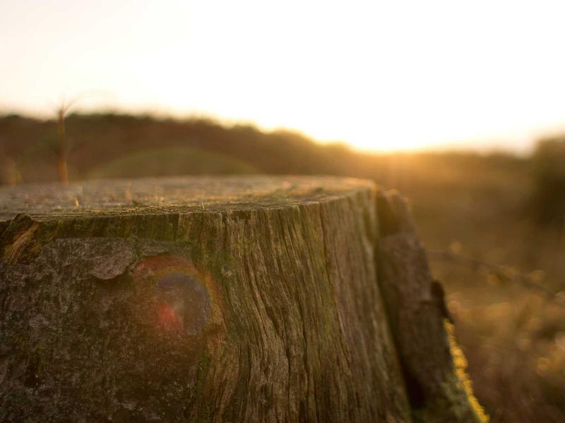 sudoku daily streak screenshot 6