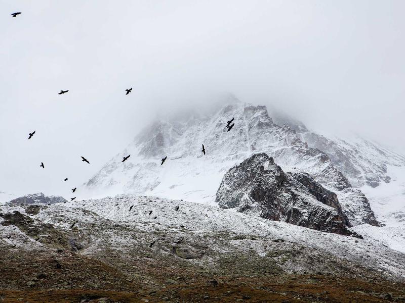 sudoku daily streak screenshot 5